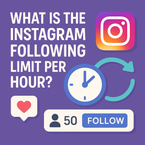 What is the Instagram Following Limit per Hour?